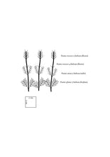 Cargar imagen en el visor de la galería, Bordado Planta Lavanda